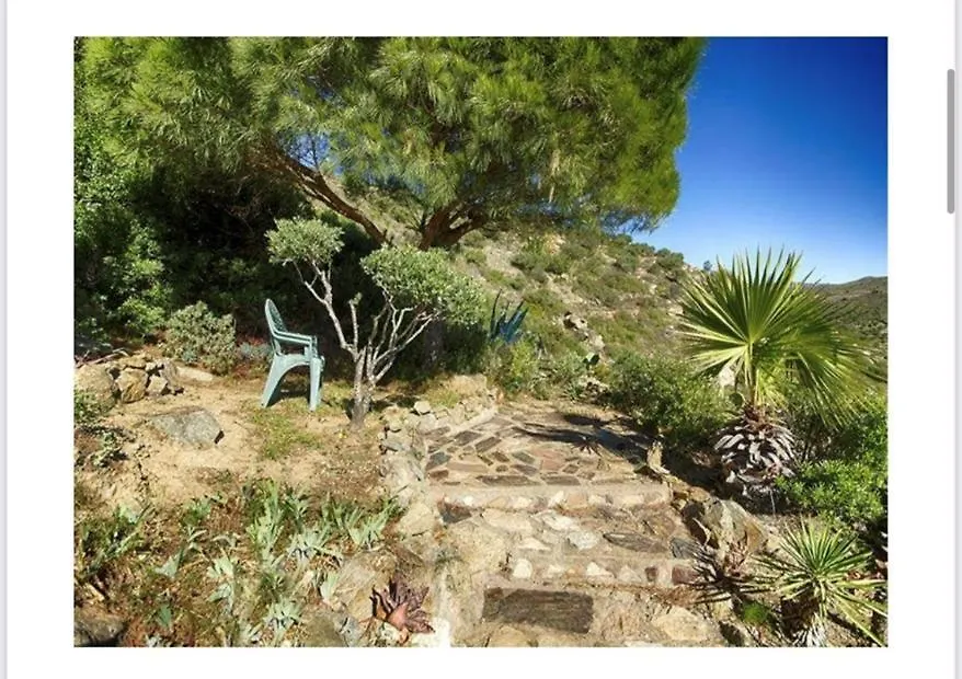 Almadrava Dream: Costa Brava Apartment Roses
