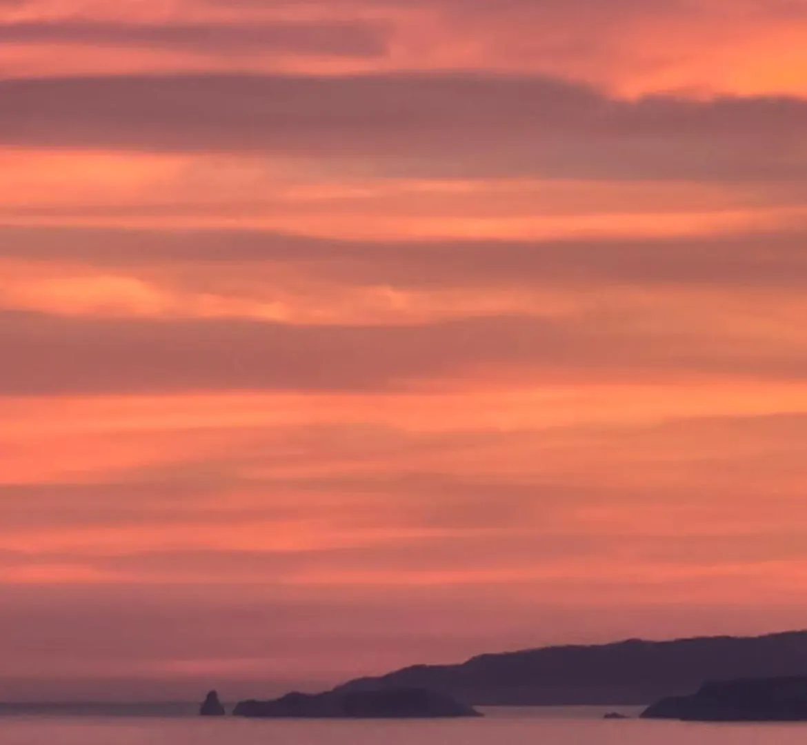 Almadrava Dream: Costa Brava Apartment Roses