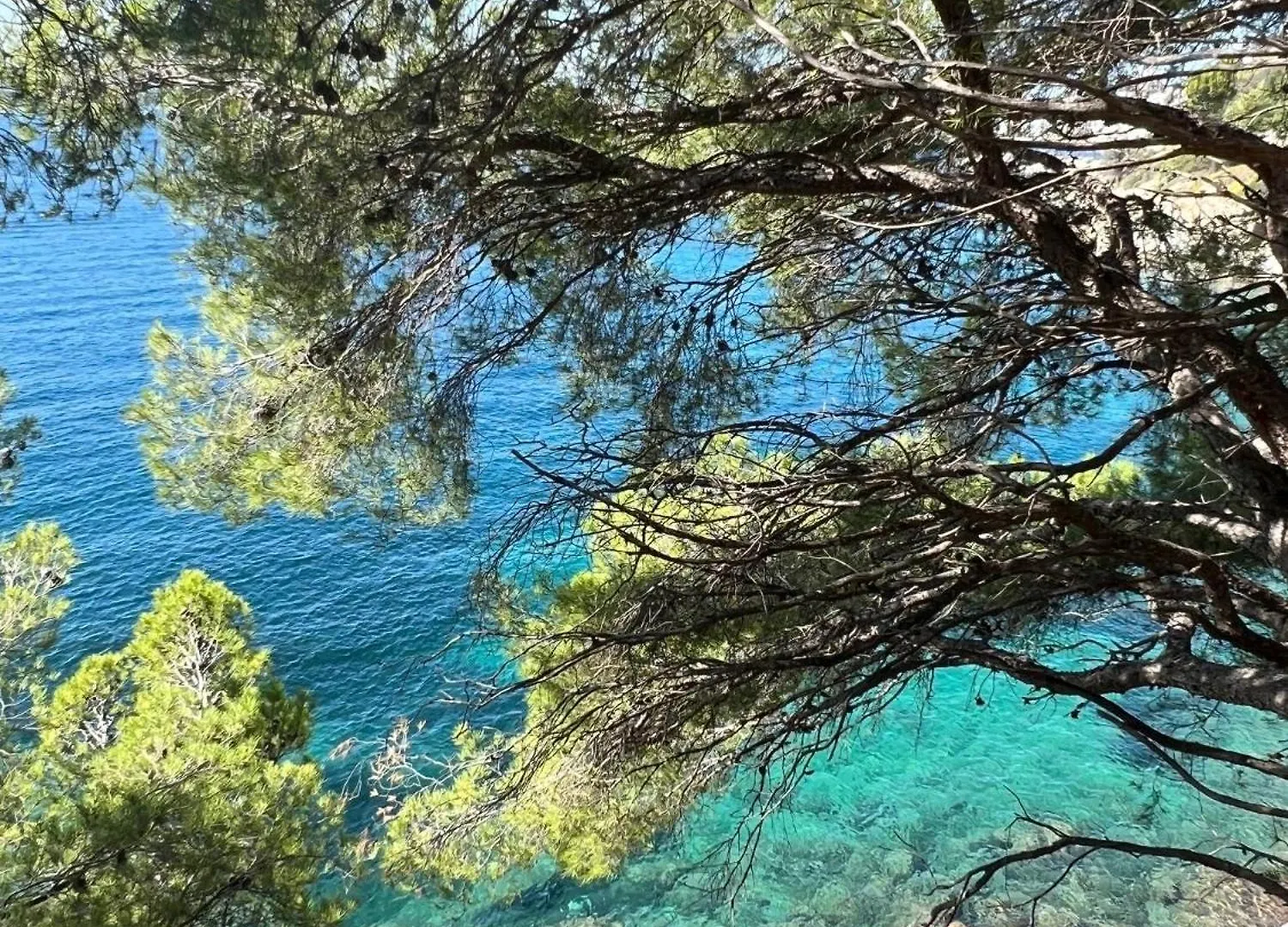 Apartmán Almadrava Dream: Costa Brava Roses