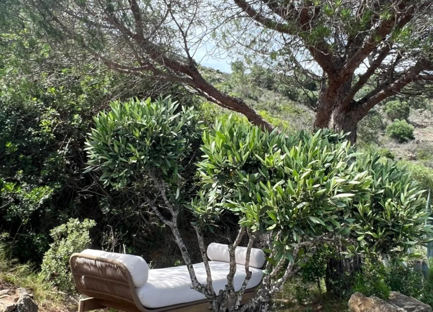 Almadrava Dream: Costa Brava Apartment Roses